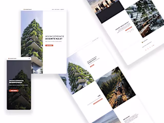 Online Presence Strategy and Responsive Web Design 