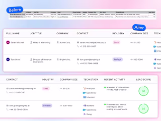 Data Visualization for Findymail