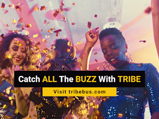 🔥BUZZZZZWORTHY! Brand Identity for Tribe Bus Tours