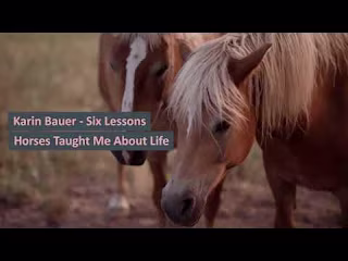 Medium article - Six Lessons Horses Taught Me About Life - YouT…