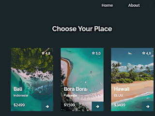 Travel Site