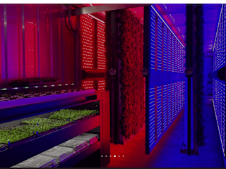 Mobile Team Lead | Mission to Revolutionize Local Food Access