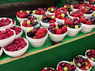 Plant-based Eating 101: A Beginner's Guide