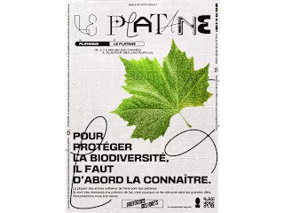 PROTEGEONS NOS FORETS