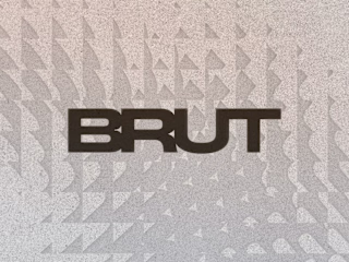 BRUT Photography Project