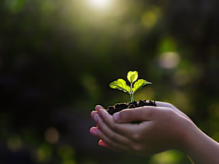 Market Expansion - Agricultural Export Company