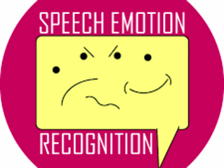 Speech Emotion Recognition