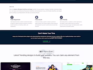 Modern WordPress Website Design