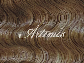 Artemis Hair Care Branding Design