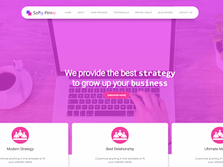 Website presenting the your company
