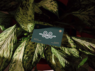 Soul Sucker Plant Shop Brand Identity Design