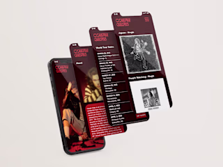 Mobile Website Design - Conan Gray
