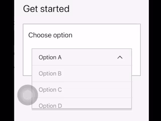 Custom dropdown menu
