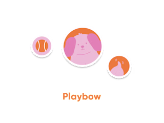 Playbow