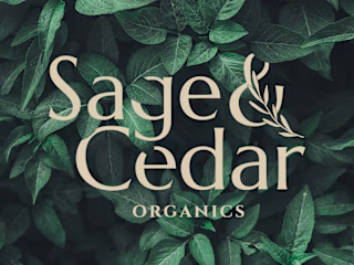 CBD Company Brand Design and Strategy