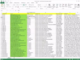 Email and ID Data Entry for Marketing Campaign