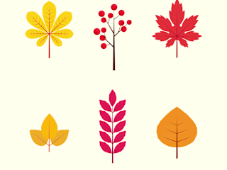 Autumn Pattern Illustration