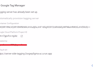 Deployed Server-Side GTM Container For a Marketing Agency