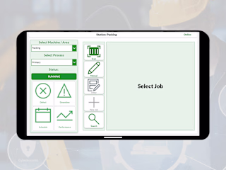 Manufacturing Execution System (MES)