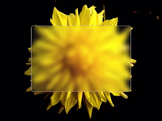 Glassmorphism