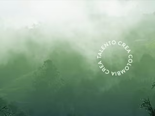 Guarnewood - Taller creativo de producción audiovisual.