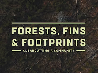 Documentary | Forests, Fins & Footprints