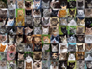 This Kitty Does Not Exist