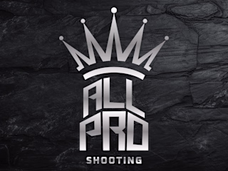 All Pro | Logo Creation