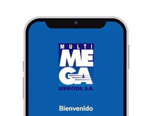 MultiMega Servicios | Lead Designer 