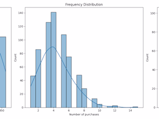 WalidBenzineb/E-commerce-Data-Analysis-