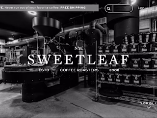 Web Revamp and Brand Strategy Development