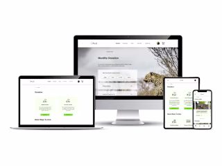 UX Design | Responsive Website & Mobile App - Persian Leopard C…