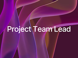 Project Team Lead