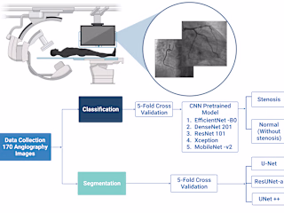 170 Angiograph images classification & segmentation illustration