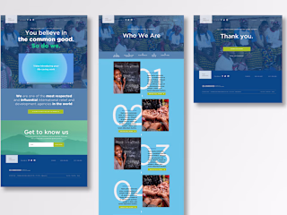 UX/UI Design and Strategy for NGO Campaign Website
