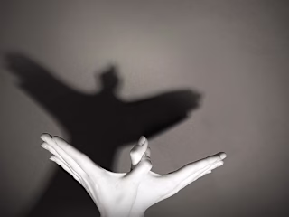 THE SILENT SHADOWS