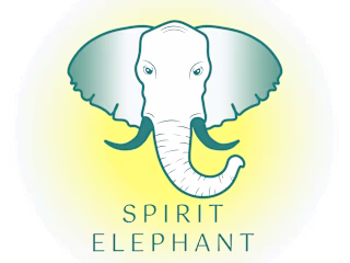 Logo Redesign: Spirit Elephant