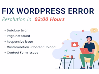 Bug Fixing and Optimization for WordPress Website