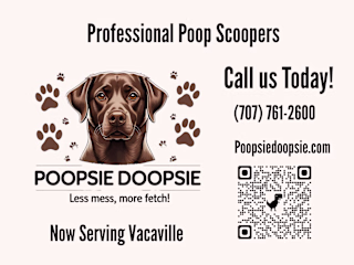 Poopsie Doopsie