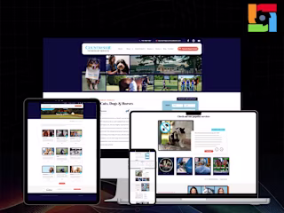 Webflow Web Development - Countryside Vets