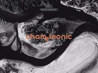 Chameleonic | Branding & Web Design