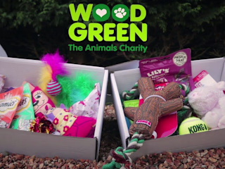 Product promotion and Website banner video for Wood Green
