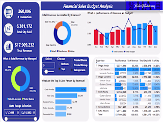 Financial Budget and Sales Analysis