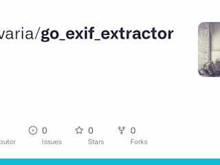 dnavaria/go_exif_extractor