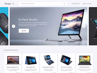  E-commerce Website Development