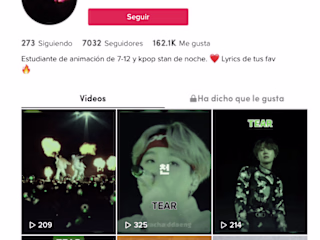 Social Media Management: Focus TikTok