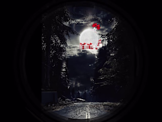 Moonlight in Christmas