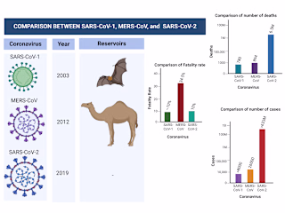 Current Technologies for Detection of COVID-19: Biosensors, Art…