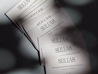 Seilear Brand Identity
