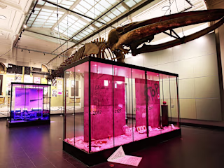 Pavillion Design for an Exhibition at Amsterdam Zoo (ARTIS)